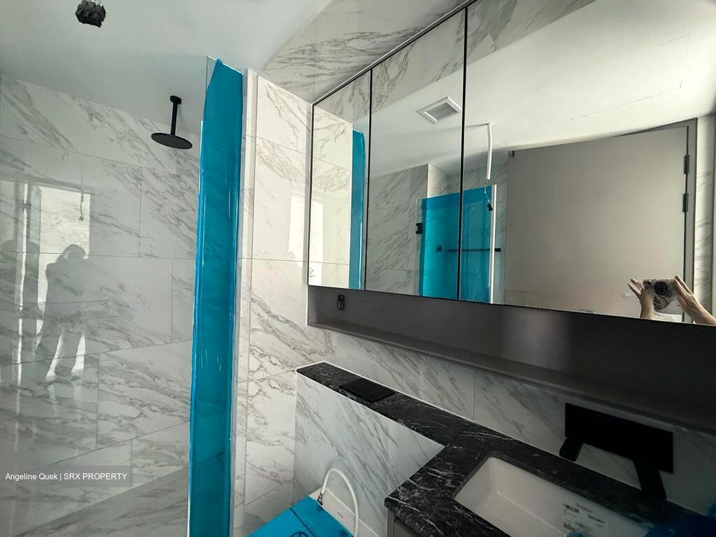 The Landmark (D3), Condominium #517026621
